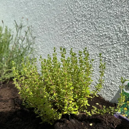 L'evasion Cinegame - A Theme 別荘