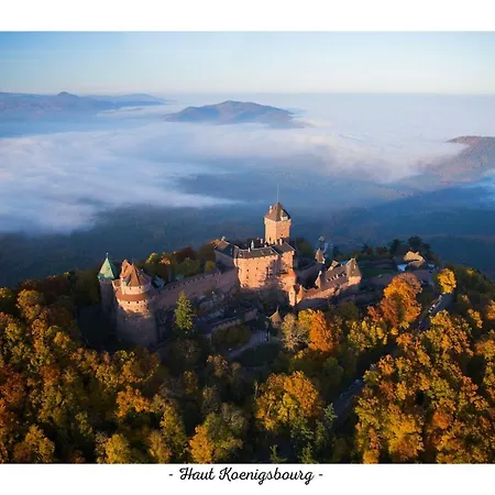 L'evasion Cinegame - A Theme 別荘 Diebolsheim